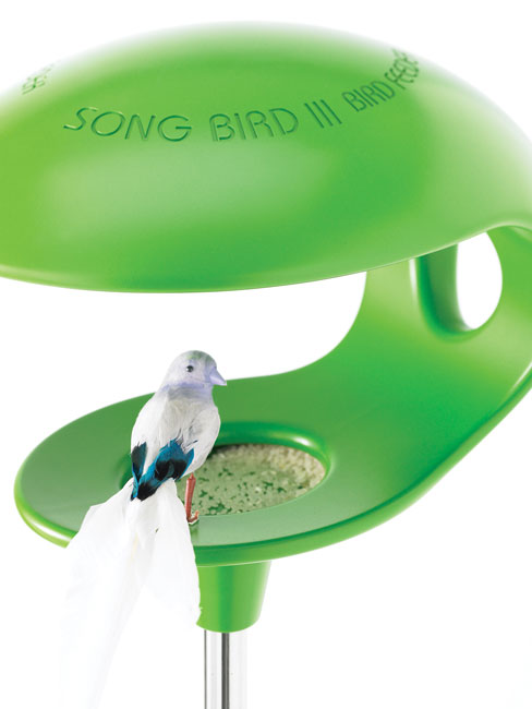 song-bird-III-3.jpg